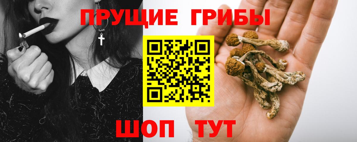 Псилоцибиновые грибы прущие грибы Люберцы